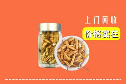 葫芦岛市建昌回收散虫草